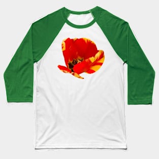 Red and Yellow Tulip Baseball T-Shirt